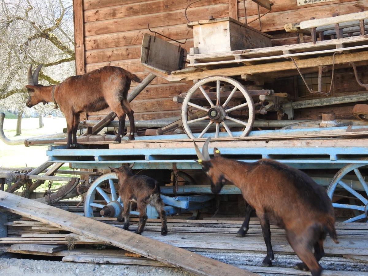 Ferienhaus Hoellwarth Stumm Bagian luar foto